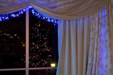 Christmas-window